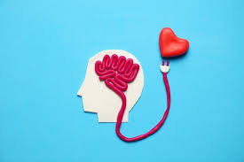 The Link Between Stress and Heart Health