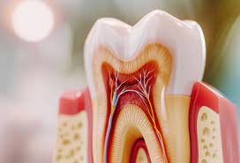 Understanding Root Canal Treatment: Myths vs. Facts